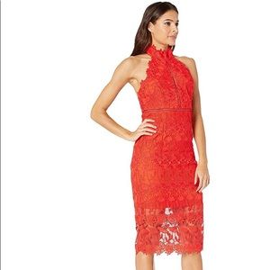NWT BARDOT NONI HALTER DRESS SIZE L/10